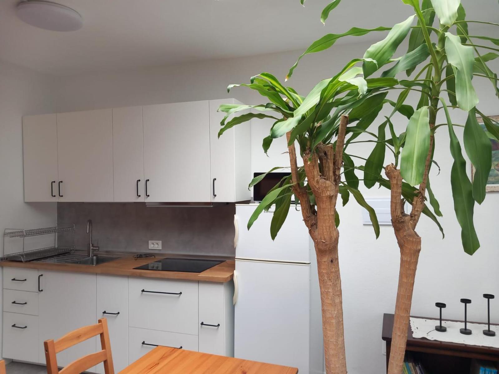 Vivienda Vacacional Casa Rosi فرونتيرا المظهر الخارجي الصورة